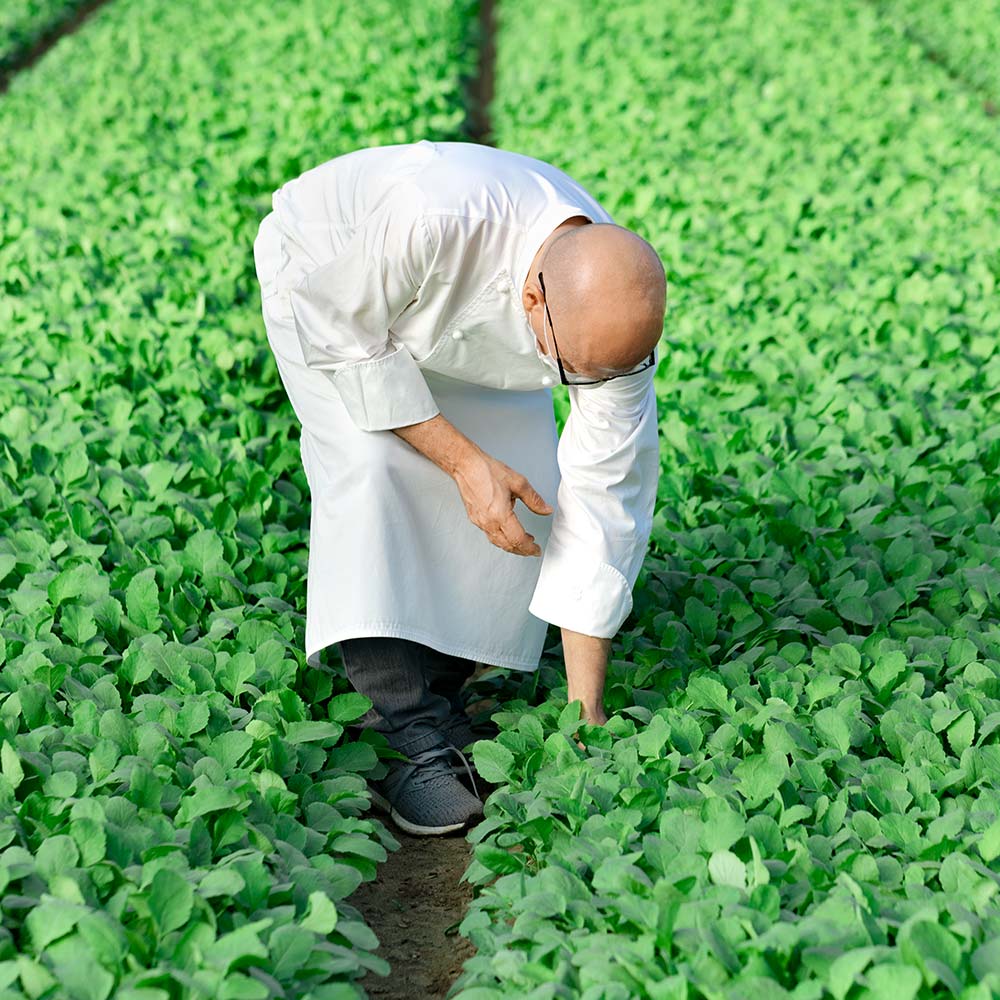 Organic & Biodynamic Ingredients Organic & Biodynamic Ingredients