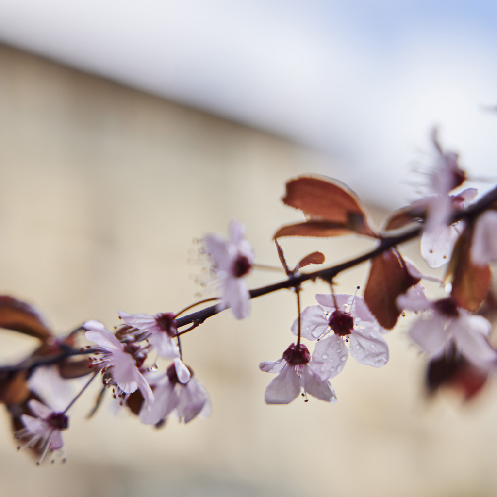 Новая система переработки пищевых отходов в компост Новая система переработки пищевых отходов в компост