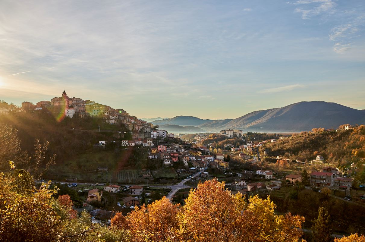 Экология Экология