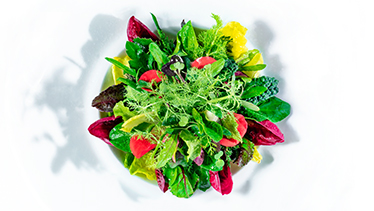 《COLORFUL NUTRITION》